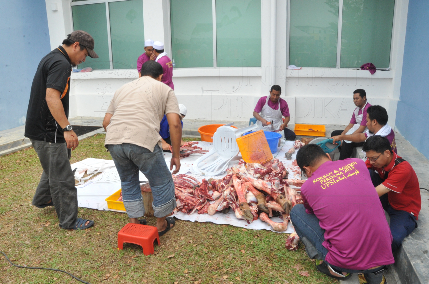 PRO15 150 KORBAN HAS 6982